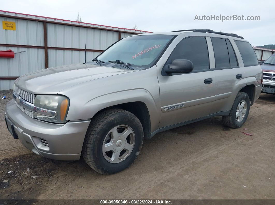 2002 Chevrolet Trailblazer Ls Silver vin: 1GNDT13SX22216948