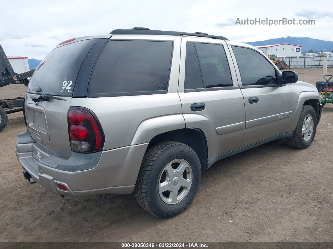 2002 Chevrolet Trailblazer Ls Silver vin: 1GNDT13SX22216948