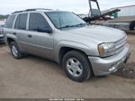 2002 Chevrolet Trailblazer Ls Silver vin: 1GNDT13SX22216948