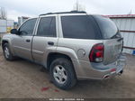 2002 Chevrolet Trailblazer Ls Silver vin: 1GNDT13SX22216948