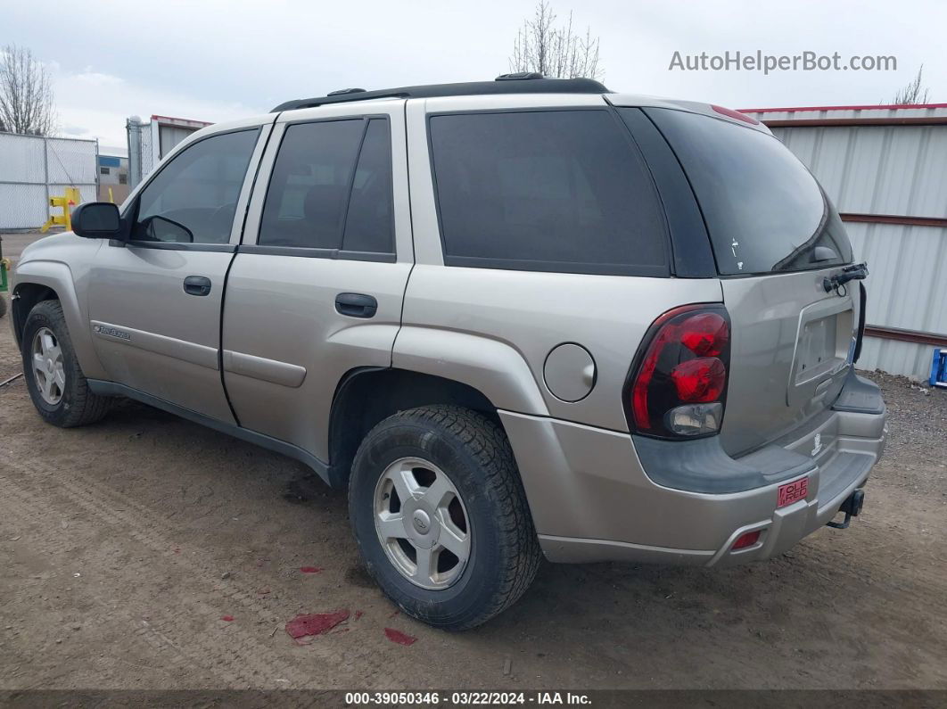 2002 Chevrolet Trailblazer Ls Silver vin: 1GNDT13SX22216948