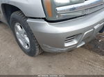 2002 Chevrolet Trailblazer Ls Silver vin: 1GNDT13SX22216948