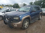 2002 Chevrolet Trailblazer  Синий vin: 1GNDT13SX22388381