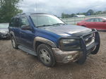 2002 Chevrolet Trailblazer  Синий vin: 1GNDT13SX22388381