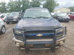 2002 Chevrolet Trailblazer  Синий vin: 1GNDT13SX22388381