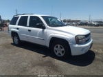 2002 Chevrolet Trailblazer Ls Белый vin: 1GNDT13SX22526484