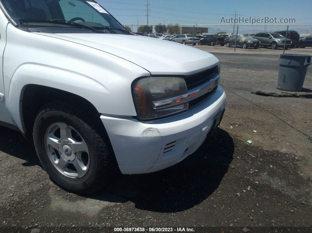 2002 Chevrolet Trailblazer Ls Белый vin: 1GNDT13SX22526484