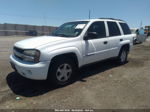 2002 Chevrolet Trailblazer Ls Белый vin: 1GNDT13SX22526484