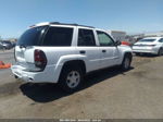 2002 Chevrolet Trailblazer Ls Белый vin: 1GNDT13SX22526484