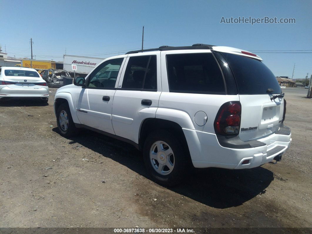 2002 Chevrolet Trailblazer Ls Белый vin: 1GNDT13SX22526484