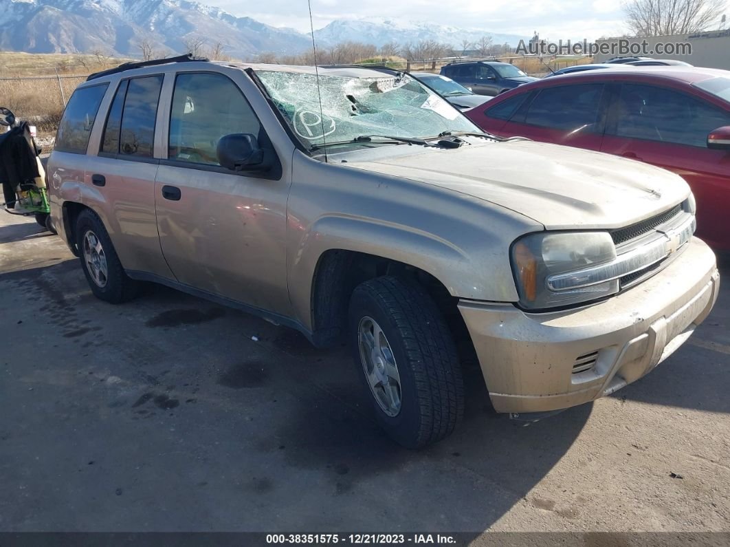 2006 Chevrolet Trailblazer Ls Gold vin: 1GNDT13SX62110098