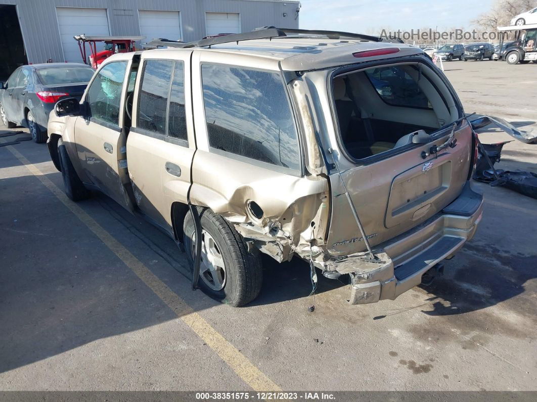 2006 Chevrolet Trailblazer Ls Gold vin: 1GNDT13SX62110098