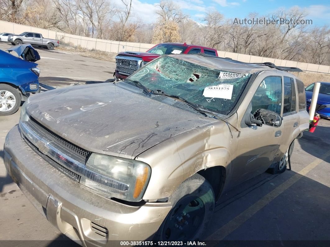 2006 Chevrolet Trailblazer Ls Gold vin: 1GNDT13SX62110098