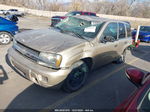 2006 Chevrolet Trailblazer Ls Gold vin: 1GNDT13SX62110098