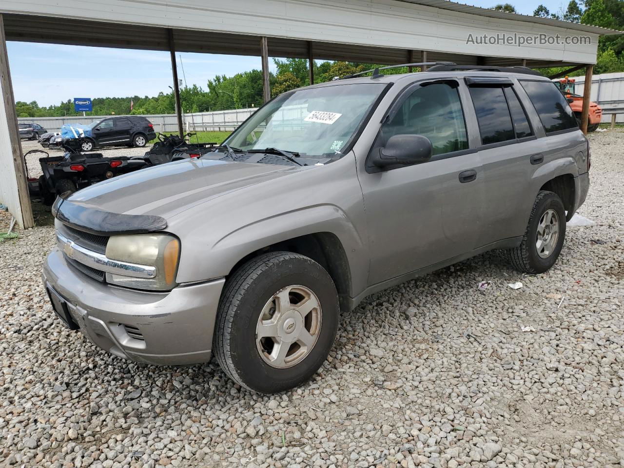 2006 Chevrolet Trailblazer Ls Gray vin: 1GNDT13SX62118069