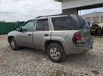 2006 Chevrolet Trailblazer Ls Gray vin: 1GNDT13SX62118069