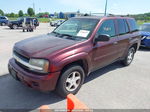 2006 Chevrolet Trailblazer Ls Maroon vin: 1GNDT13SX62159141