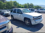 2006 Chevrolet Trailblazer Ls/lt White vin: 1GNDT13SX62168782