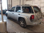 2006 Chevrolet Trailblazer Ls Кремовый vin: 1GNDT13SX62343169