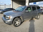 2006 Chevrolet Trailblazer Ext Ls Gray vin: 1GNES16S966126353