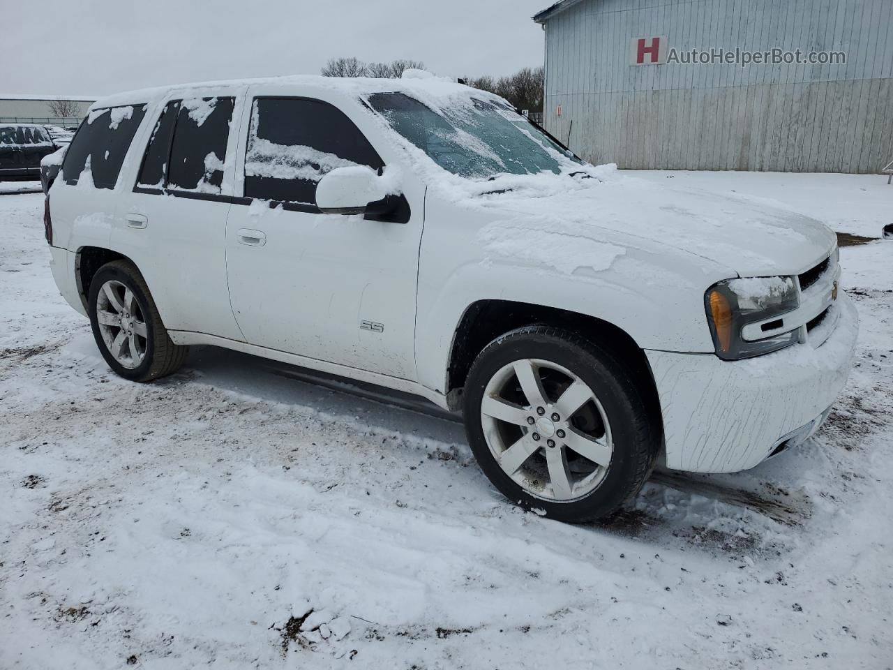 2006 Chevrolet Trailblazer Ss Белый vin: 1GNET13H162300512