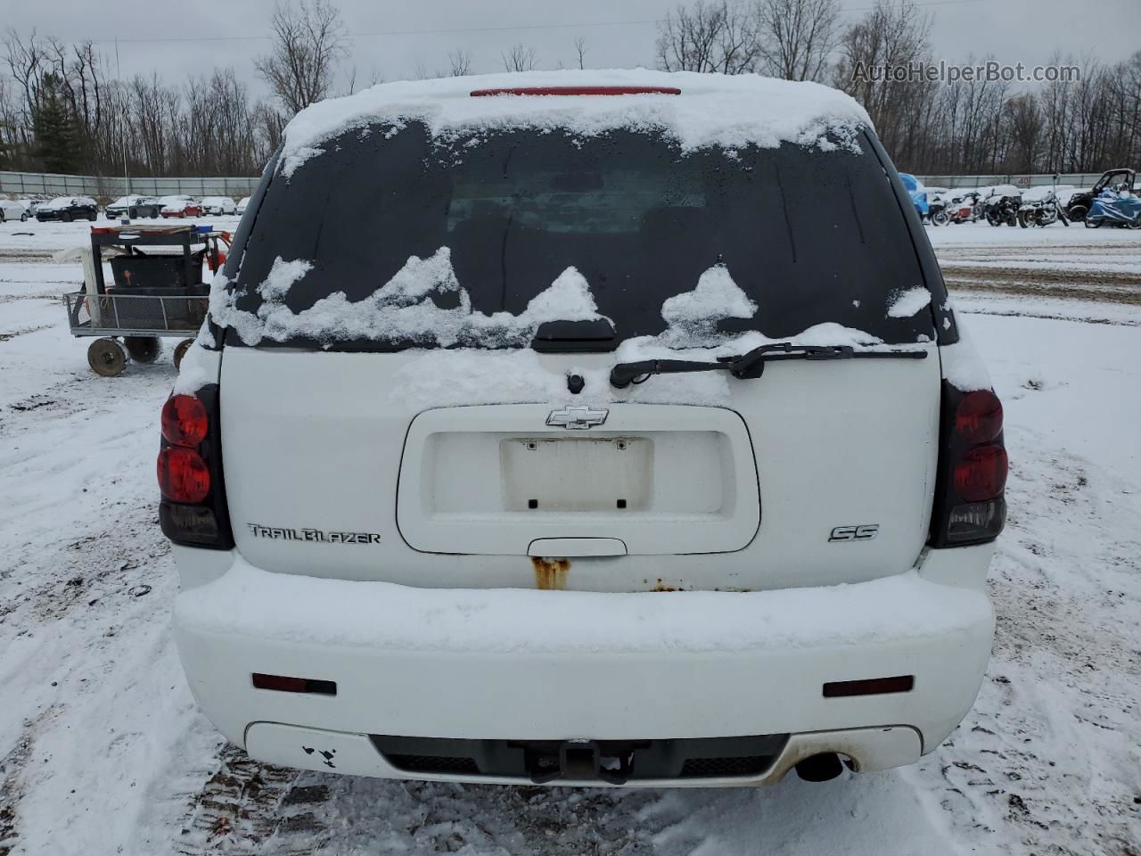 2006 Chevrolet Trailblazer Ss Белый vin: 1GNET13H162300512