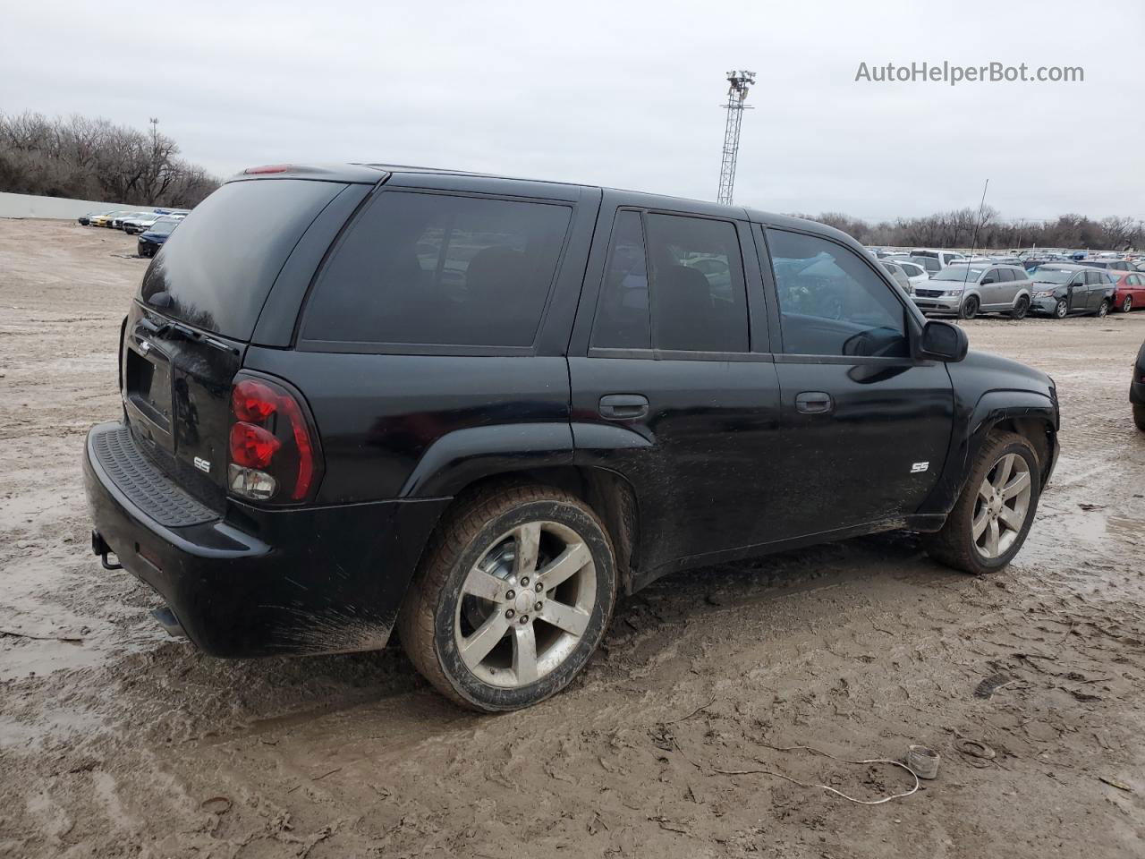 2006 Chevrolet Trailblazer Ss Черный vin: 1GNET13H862299987