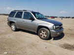 2006 Chevrolet Trailblazer Ls Gold vin: 1GNET13M862165557