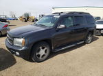 2006 Chevrolet Trailblazer Ext Ls Gray vin: 1GNET16S266141810