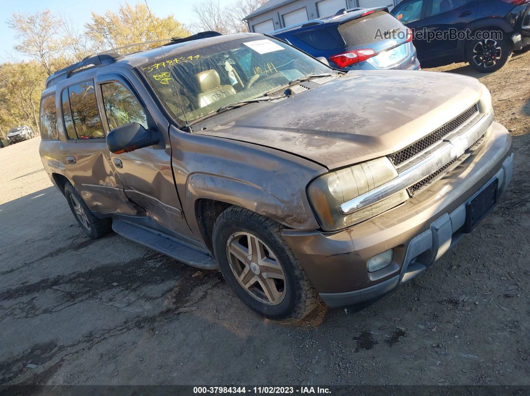 2002 Chevrolet Trailblazer Ext Lt Коричневый vin: 1GNET16S426122217