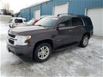 2015 Chevrolet Tahoe K1500 Ls Gray vin: 1GNSKAEC0FR297830