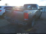 2008 Gmc Sierra 1500 Work Truck Gray vin: 1GTEK14C18Z123260