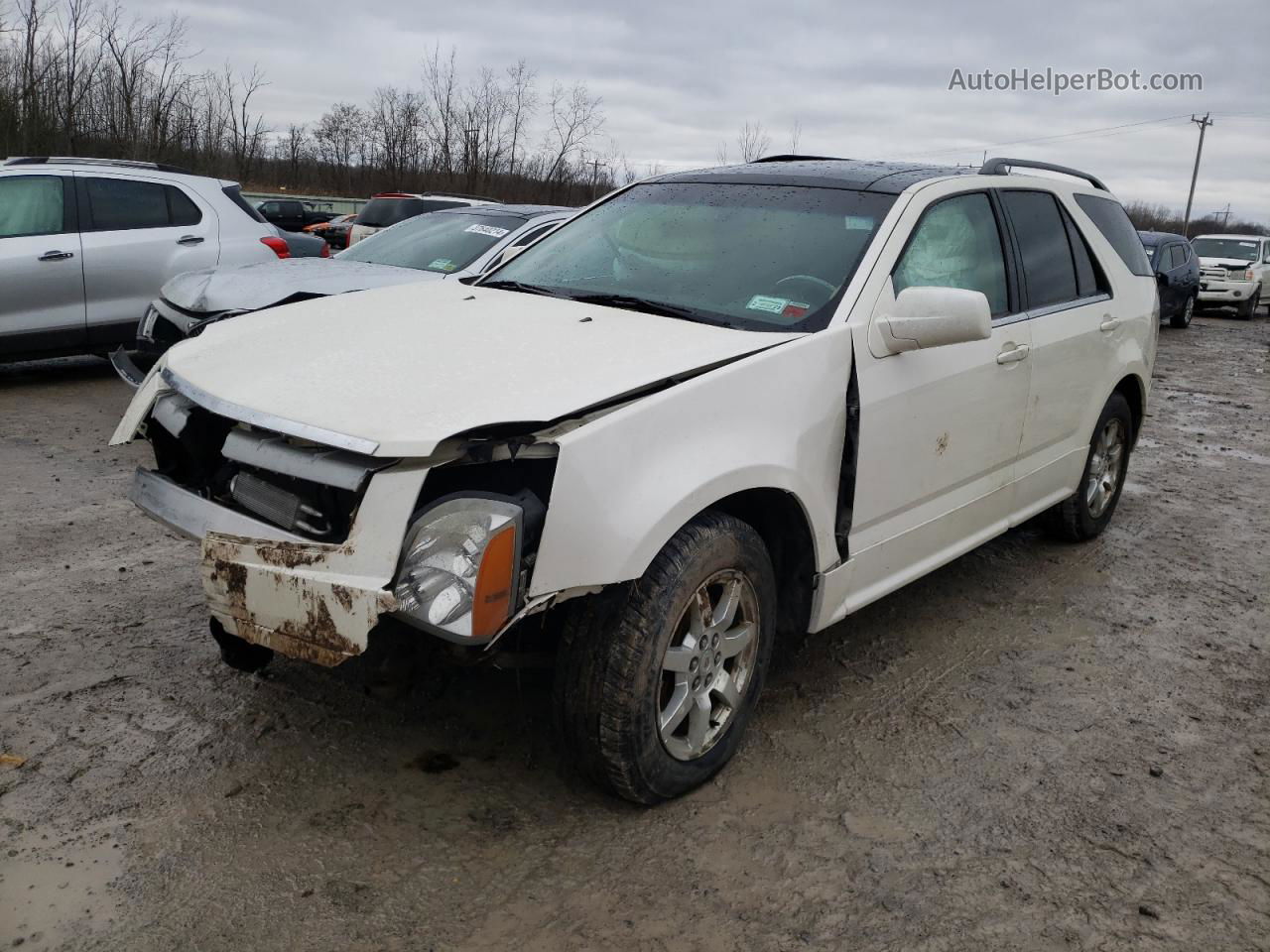 2008 Cadillac Srx  White vin: 1GYEE437880196234