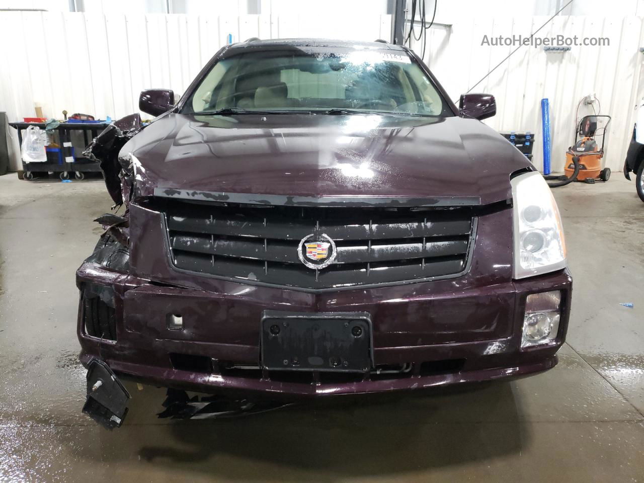 2008 Cadillac Srx  Фиолетовый vin: 1GYEE637180117644