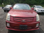 2008 Cadillac Srx  Красный vin: 1GYEE637380105799