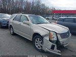 2008 Cadillac Srx V6 Champagne vin: 1GYEE637880121352