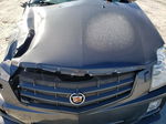 2008 Cadillac Srx  Серый vin: 1GYEE63A080114827