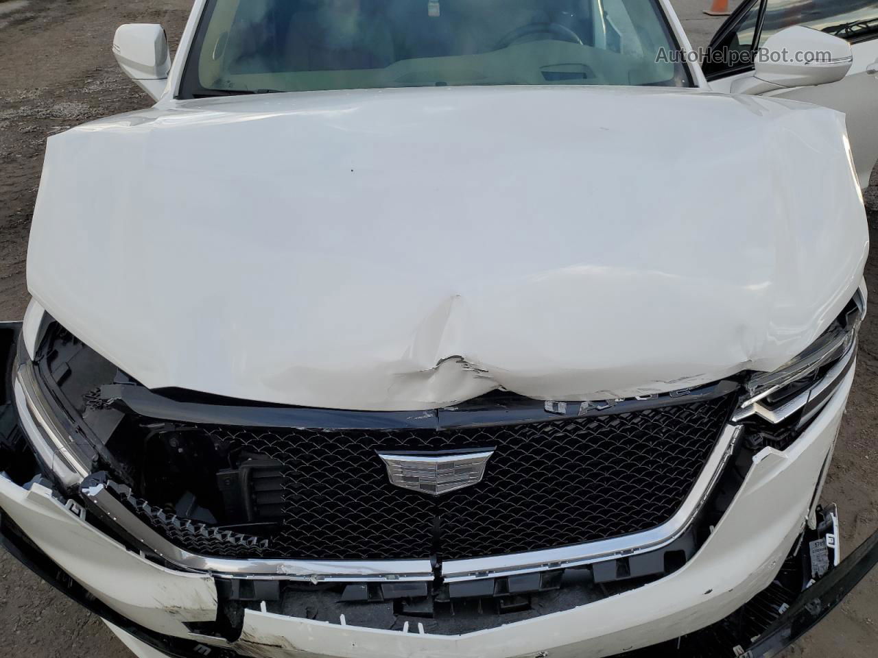 スケールモデル 新作 & Price History vin 6 3.6l Platinum Sport Xt6 Cadillac 2023 ポスター