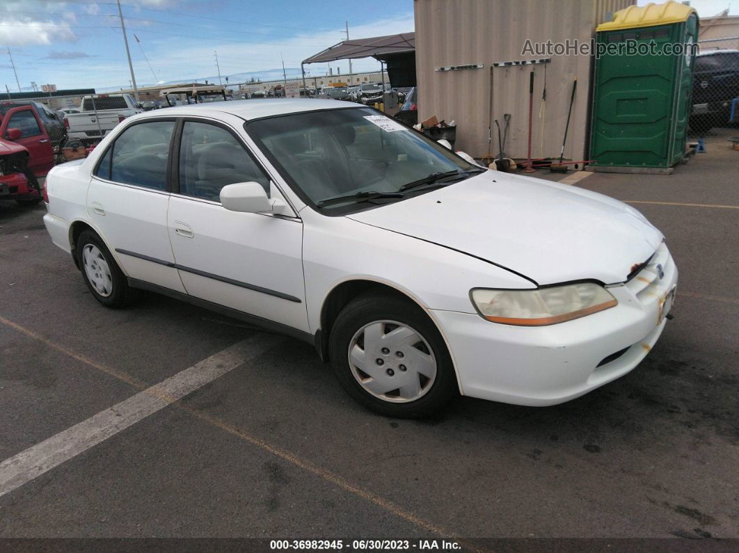 2000 Honda Accord Sdn Lx Белый vin: 1HGCG1644YA080211