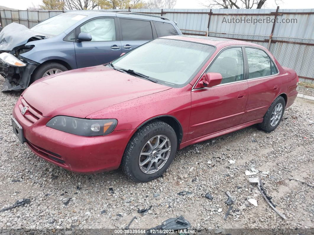 2001 Honda Accord Sdn Ex W/leather Red vin: 1HGCG16531A083860