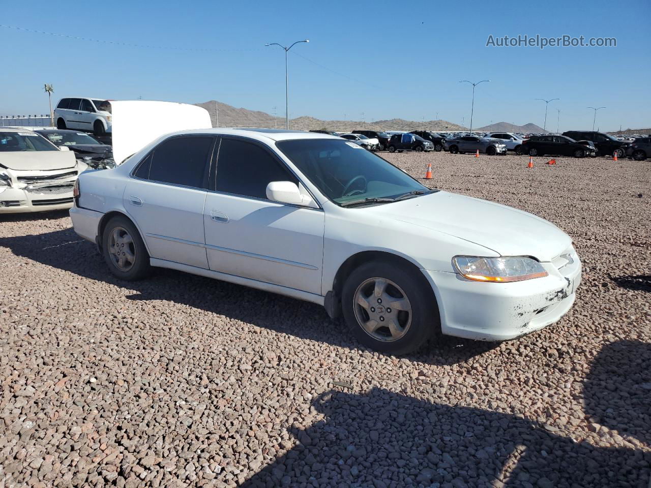 1999 Honda Accord Ex White vin: 1HGCG5556XA122815