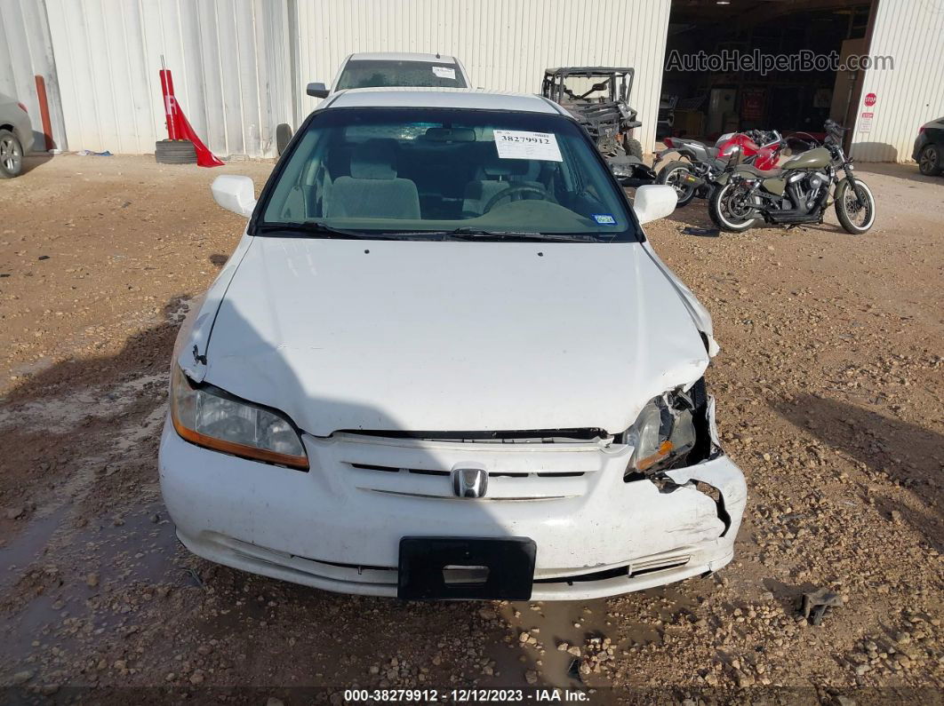 2001 Honda Accord Sdn Lx White vin: 1HGCG56441A099273