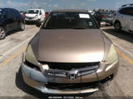 2003 Honda Accord Sdn Lx Золотой vin: 1HGCM55333A136883