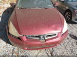 2005 Honda Accord Sdn Ex-l Red vin: 1HGCM55865A067413