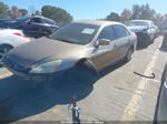 2005 Honda Accord Sdn Dx Золотой vin: 1HGCM56195A181276