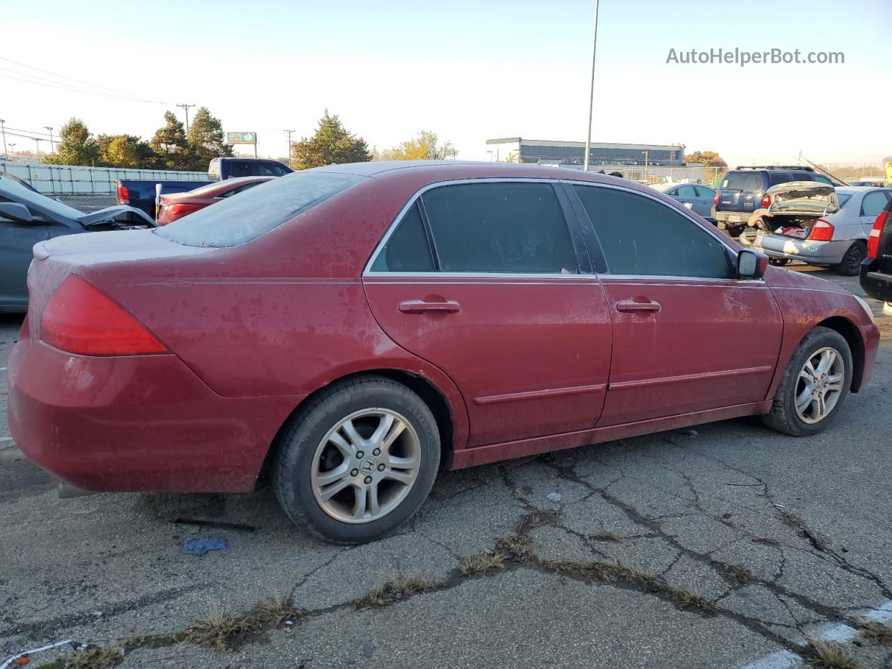 2007 Honda Accord Se Бордовый vin: 1HGCM56307A163771