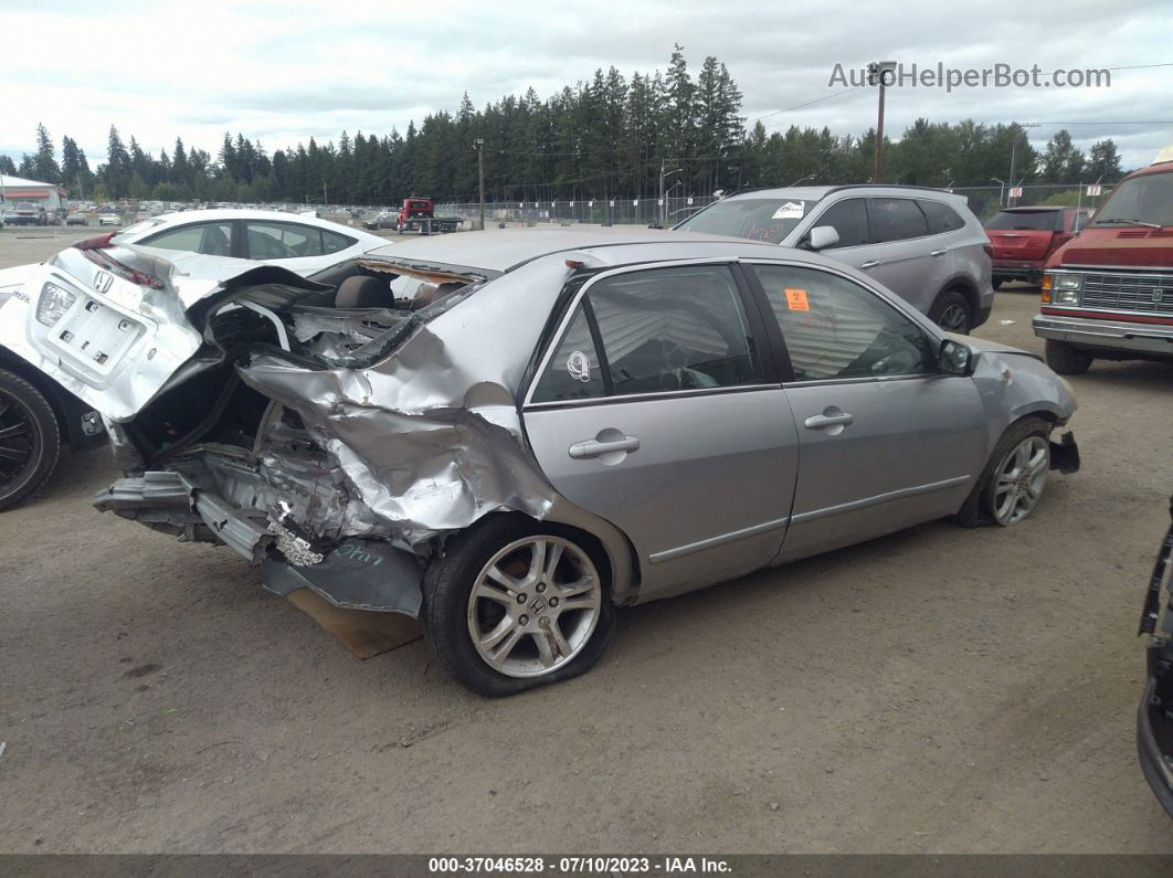 2007 Honda Accord Sdn Lx Se Silver vin: 1HGCM56317A017184