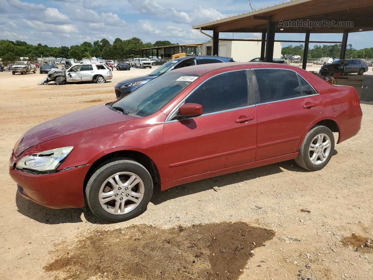 2007 Honda Accord Se Red vin: 1HGCM56387A067354