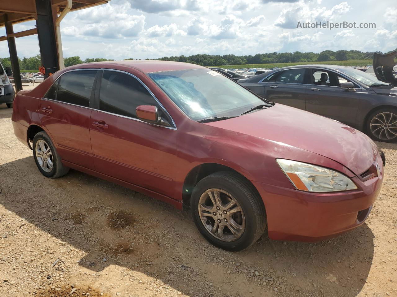 2007 Honda Accord Se Красный vin: 1HGCM56387A067354