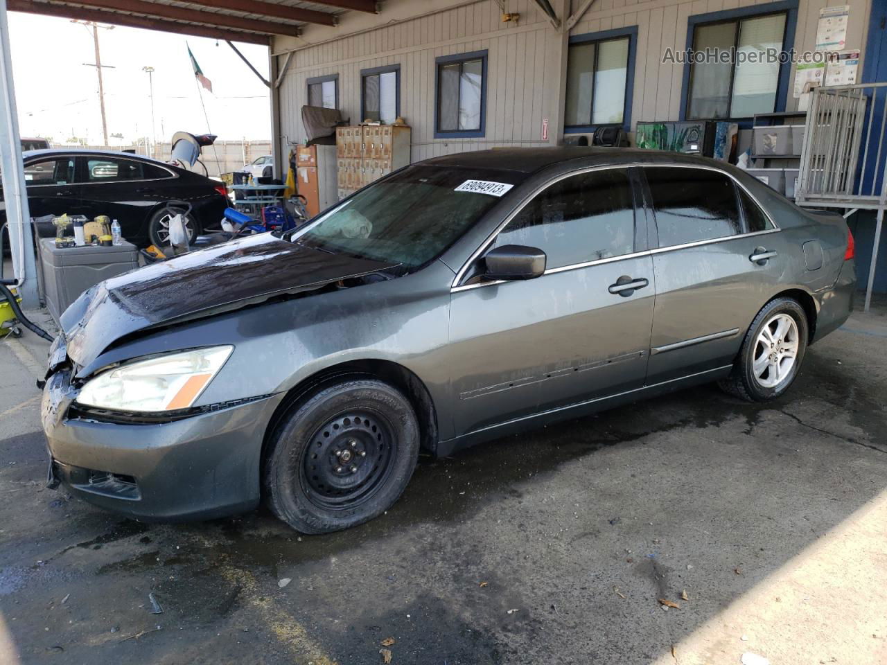 2007 Honda Accord Se Gray vin: 1HGCM563X7A206223